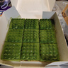中糧香雪抹茶提拉米蘇蛋糕動(dòng)物奶油聚會(huì)休閑下午茶生日蛋糕 990g 曬單實(shí)拍圖