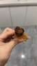 火山小牛魔手撕風(fēng)干牛肉干混合口味500g內(nèi)蒙古特產(chǎn)脂孕婦休閑零食減獨立包裝 曬單實拍圖