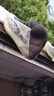 阿迪達(dá)斯男女YEEZY椰子休閑版籃球鞋GY7926UK9.0碼43碼 曬單實(shí)拍圖