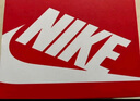 NIKE 耐克童鞋男女童休閑板鞋COURT BOROUGH魔術貼運動鞋小童 曬單實拍圖