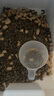 LEGENDSANDY藍(lán)氏全價(jià)貓糧成貓幼貓生骨肉凍干糧 盒裝 獵鳥乳鴿4.5kg 曬單實(shí)拍圖