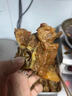 新鮮羊蝎子羔羊脊骨多肉羊蝎子火鍋羊肉生鮮 羊蝎子 4斤 曬單實(shí)拍圖
