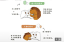【當當正版書(shū)籍】小刺猬阿奈家的24小時(shí) 緩解親子關(guān)系正向溝通 10個(gè)常見(jiàn)場(chǎng)景 親子共讀 家庭教育幼兒繪本漫畫(huà)書(shū) 化解家庭溝通沖突 小刺猬阿奈家的24小時(shí) 曬單實(shí)拍圖