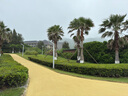 駱駝（CAMEL）速干透氣運(yùn)動(dòng)褲男跑步休閑直筒梭織褲子 J15BAXLN075 幻影黑 XXL 曬單實(shí)拍圖