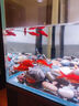 尼特利（NETLEA）氧氣泵充電式交直流增氧泵養魚(yú)水族箱打氧泵智控氣泵魚(yú)缸客廳家用 4號增氧泵5V藍牙長(cháng)續航配件版 黑 曬單實(shí)拍圖