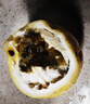 欽蜜9號黃金百香果當(dāng)季大果新鮮水果鵬貿(mào) 百香果20粒小果30-45g 曬單實(shí)拍圖
