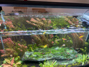 尼特利AT5S水草燈560S三代專業(yè)級全光譜led伸縮魚缸燈專用植物補(bǔ)光燈 曬單實(shí)拍圖