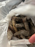 混元獸 蝦國產(chǎn)青島鮮捕大蝦特大號 青蝦凍海蝦生鮮 蝦類白蝦 青島鹽凍大蝦3- 4斤(凈重)  15-18厘米（店長推薦） 曬單實(shí)拍圖