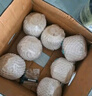 佳農(nóng) 泰國進口椰青9粒裝 單果900g+ 贈開椰器吸管 生鮮水果 源頭直發(fā) 曬單實拍圖