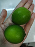 都樂Dole 塔西提無籽檸檬 8-12粒 凈重500g【清涼一夏】 曬單實(shí)拍圖