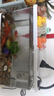 闊庭（KUOTING）闊庭魚缸懶人魚缸家用客廳辦公室水培吊籃金魚缸過濾魚缸白色款 曬單實拍圖