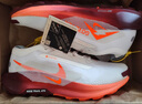 耐克NIKE跑步鞋 男越野飛馬PEGASUS 緩震運動(dòng)鞋FQ0908-104白/橙紅42 曬單實(shí)拍圖