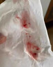 流鼻血鼻粘膜修復鼻腔干燥出血滋潤保濕兒童鼻炎止鼻血專用噴霧劑 特效鼻腔干燥止出血滋潤保濕專用 曬單實拍圖