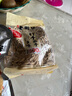 老街口 輕鹽 打手瓜子500g/袋 脫皮多味香瓜子零食 古法葵花籽 曬單實(shí)拍圖