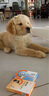 科瑞愛特CREATOR狗狗驅(qū)蟲藥犬體內(nèi)外一體米爾貝肟片成犬幼犬小中大型犬專用內(nèi)外驅(qū) 5mg*3（中大型犬 ）按說明書使用 曬單實(shí)拍圖