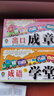 適用于兒童識字卡無圖認(rèn)字3-6歲寶寶早教啟蒙成語卡片識圖幼兒園3000字 【2盒】成語小學(xué)堂+出口成章(成語) 曬單實(shí)拍圖