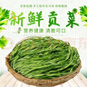 【新貨烘干】貢菜干新鮮脫水蔬菜農(nóng)家土特產(chǎn)火鍋貢菜干 貢菜干 500g 曬單實(shí)拍圖