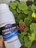 諾爾樂液體氮肥速效綠葉快速葉面肥農(nóng)用濃縮水溶肥氮肥種菜通用肥 500毫升*1瓶【液體氮肥】 曬單實(shí)拍圖