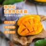 京鮮生 攀枝花凱特芒果 凈重8.5斤 帶箱9斤 單果400g+ 生鮮水果源頭直發(fā) 曬單實(shí)拍圖