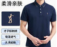才子（TRIES）商務(wù)休閑POLO衫男夏季新款輕薄透氣撞色條紋領(lǐng)翻領(lǐng)短袖T恤 條紋領(lǐng)深藍色 XL 50(175/92A) 曬單實拍圖