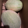 京鮮生 哈密瓜西州蜜25號 凈重6-7斤2-3粒裝 源頭直發(fā)包郵 曬單實拍圖