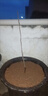 錢(qián)排三華李子樹(shù)苗嫁接水果樹(shù)苗新品種紅心早熟脫骨蜂糖車(chē)李子樹(shù)苗 前排三華李 兩年苗（帶葉帶土） 曬單實(shí)拍圖