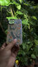 鹿途者 DEERWALKins藍(lán)光水鉆蝴蝶適用蘋果15pro max手機殼iphone13腕帶鏈條11新款12高級感小眾14promax網(wǎng)紅保護(hù)套 藍(lán)光水鉆蝴蝶+手鏈 iPhone 15 曬單實拍圖