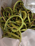 神農(nóng)金康腎精草100g 嗷嗷叫黃金草 野生長白山腎精茶化石草東北男士養(yǎng)生茶 曬單實拍圖