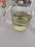 青蘋果耐熱玻璃涼水壺1.6L 可明火直燒冷水壺花茶壺泡茶圍爐煮茶壺 曬單實(shí)拍圖