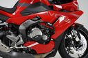MRBR適配無(wú)極RR500S護(hù)杠防摔塊保險(xiǎn)杠摩托車競(jìng)技防護(hù)球水箱網(wǎng)改裝配件 無(wú)極RR500S標(biāo)準(zhǔn)護(hù)杠 曬單實(shí)拍圖