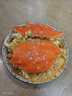 舟山梭子蟹鮮活特大野生大螃蟹新鮮冷凍海鮮水產(chǎn)海蟹飛蟹白蟹順豐 9兩以上/只【5斤凈重 超大肥美】 曬單實(shí)拍圖