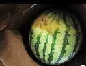 曉吸無籽麒麟瓜 4kg 曬單實拍圖