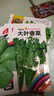 【種子大全】12種蔬菜種子四季菜種子陽(yáng)臺(tái)盆栽綠植庭院易種春秋 菠菜+芹菜+菜心+香菜+茼蒿 曬單實(shí)拍圖
