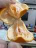 京鮮氣春見(jiàn)耙耙柑 爆漿粑粑柑不知火橘子丑八怪柑橘粑粑柑整箱水果禮盒 精選果10斤【普通裝】 顆顆精選 京鮮直達 曬單實(shí)拍圖