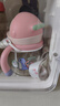 babycare小企鵝學(xué)飲杯 兒童吸管式水杯 兒童防漏防摔帶手柄喝奶瓶含重力球 【升級(jí)款】240ml萊莎粉PPSU 升級(jí) 曬單實(shí)拍圖