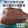 鮮拔頭籌鰈魚身蝶魚中段 格陵蘭深海鴉片魚頭比目魚進(jìn)口生鮮海鮮 精品 鰈魚身凈重 2.5kg （3-5塊） 曬單實(shí)拍圖