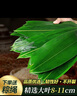 華田禾邦野生粽葉8-11cm超大號(hào)粽葉100片新鮮箬葉 端午節(jié)包粽子天然竹棕葉 曬單實(shí)拍圖