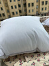 程寶寶抱枕芯沙發(fā)靠墊40 45 50 55 60 65 70正方形羽絲絨靠枕芯 高彈三維靠墊芯一只 50X50cm芯(適合45x45cm外套用) 曬單實(shí)拍圖