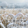 光合星球babycare嬰幼兒手指泡芙多種口味兒童寶寶零食糕點入口即溶6月+ 嬰幼兒小萌鴨泡芙40g/罐 曬單實拍圖