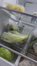 家の物語日式冰箱收納盒抽屜式專用食品級水果蔬菜整理保鮮盒廚房儲(chǔ)物盒 曬單實(shí)拍圖