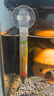 森森水族溫度計養魚(yú)水溫計熱帶魚(yú)測水溫儀器魚(yú)缸水族箱測水溫儀 小胖魚(yú)缸溫度計*長(cháng)11cm 曬單實(shí)拍圖