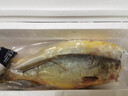 南美豹新鮮黃花魚 大黃魚 深海速凍國(guó)產(chǎn)東海大黃花魚 生鮮 魚類 海鮮水 【推薦】4條裝 1.5斤左右/條 曬單實(shí)拍圖