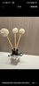 舒居無(wú)火香薰（三瓶裝）室內(nèi)臥室房間香氛香熏瓶廁所空氣清新劑150ml 曬單實(shí)拍圖