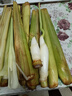 【現(xiàn)采現(xiàn)發(fā)】新鮮茭白上海青浦練塘特產(chǎn)帶殼茭白高筍時(shí)令蔬菜 現(xiàn)采帶殼茭白2斤 曬單實(shí)拍圖