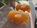 菲斯鉑亞大象擺件家居別墅客廳電視柜裝飾品天然玉石米黃玉吉象辦公室擺設 一對 12厘米一對 曬單實(shí)拍圖