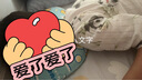 威爾貝魯兒童家居服夏季新款可外出套裝男童女童薄款睡衣 熊貓?zhí)焓埂救?七分袖套裝】 130 曬單實(shí)拍圖