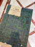 十一種孤獨(dú) 理查德·耶茨著陳新宇譯 譯文經(jīng)典  小說 曬單實(shí)拍圖
