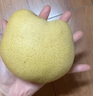 遠達（YUANDA）趙縣正宗雪花梨冰糖雪梨新鮮水果梨子大果整箱熬湯特產(chǎn) 雪花梨凈重8.3斤 曬單實(shí)拍圖