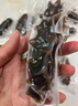 小兵海參即食海參大連深海遼刺參獨(dú)立包裝化凍即食遼參官方旗艦店 3斤裝 小頭（10-12只/斤） 曬單實(shí)拍圖
