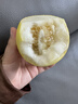 黃六爺頭茬早甜脆小蜜蜂蜜罐蜜瓜香瓜新鮮水果星甜20網(wǎng)紅甜瓜白糖罐熱賣(mài) 【3斤裝】約4~7個(gè)丨新鮮超甜 曬單實(shí)拍圖
